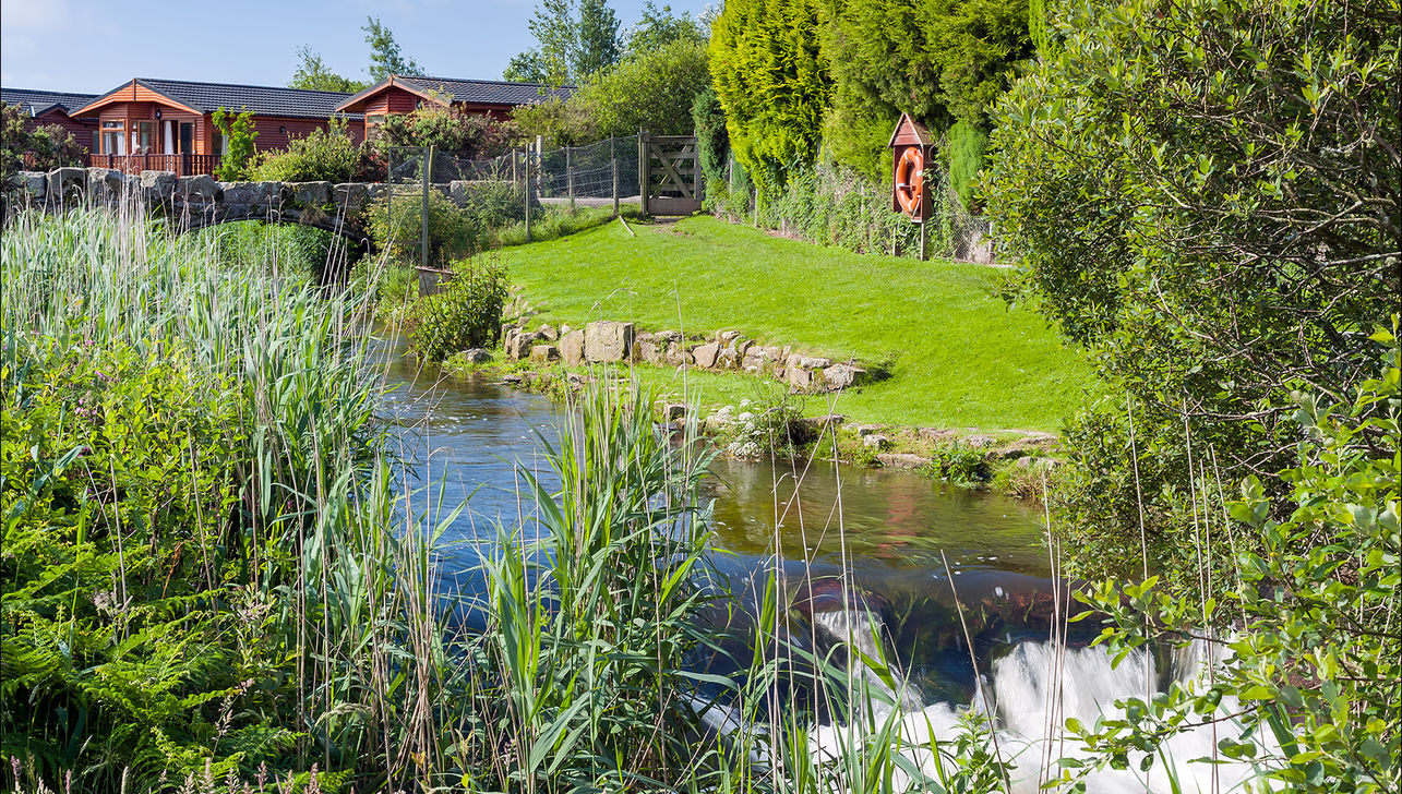 View of river bank at River Valley Country Park