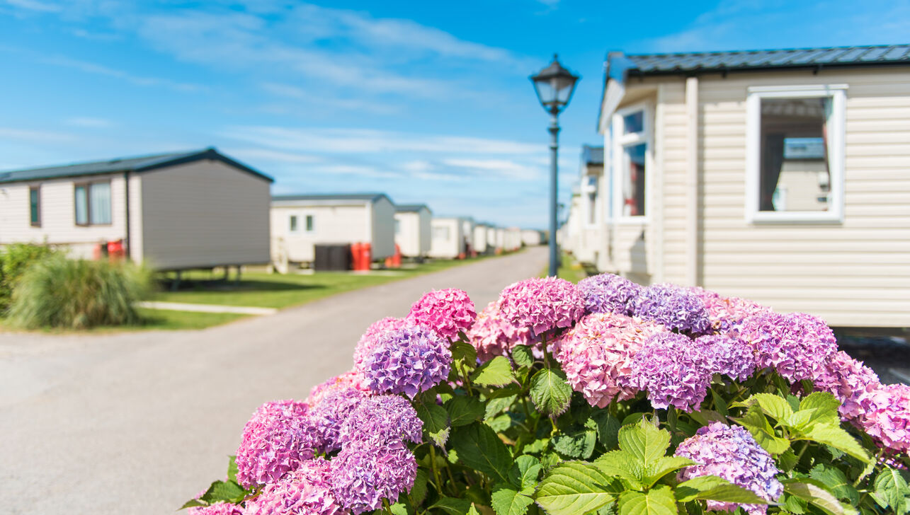Picture of caravans at Beachside Holiday Park