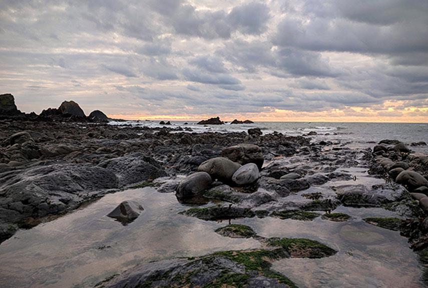 walks around westward ho