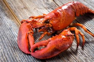 Red lobster on table