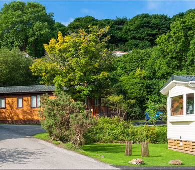 Caravans and lodges at  River Valley Country Park