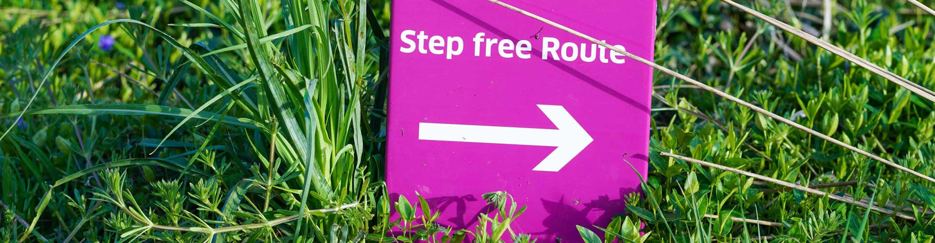  An Accessibility Information Sign Surrounded by Lush Green Grass