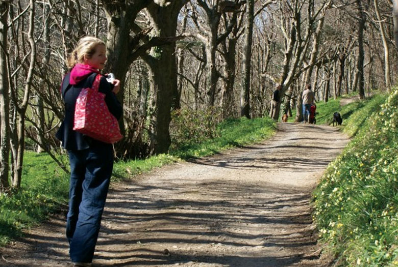Hartland Abbey and Gardens