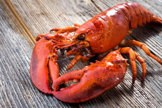 Red lobster on table