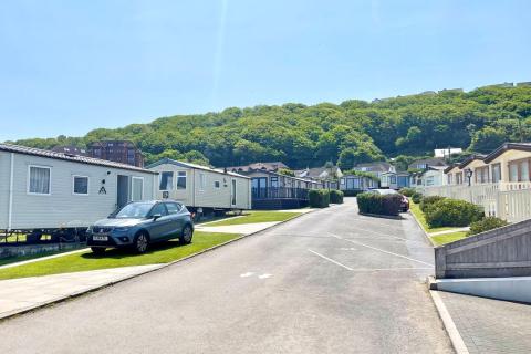 Holiday Homes with the Forest in the Background